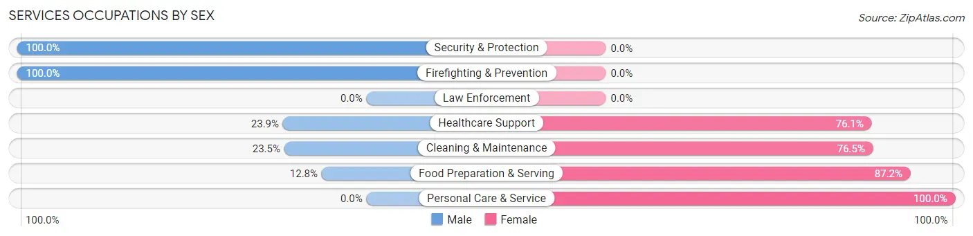 Services Occupations by Sex in Zip Code 04041