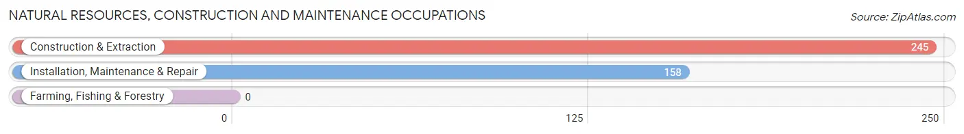 Natural Resources, Construction and Maintenance Occupations in Zip Code 04043
