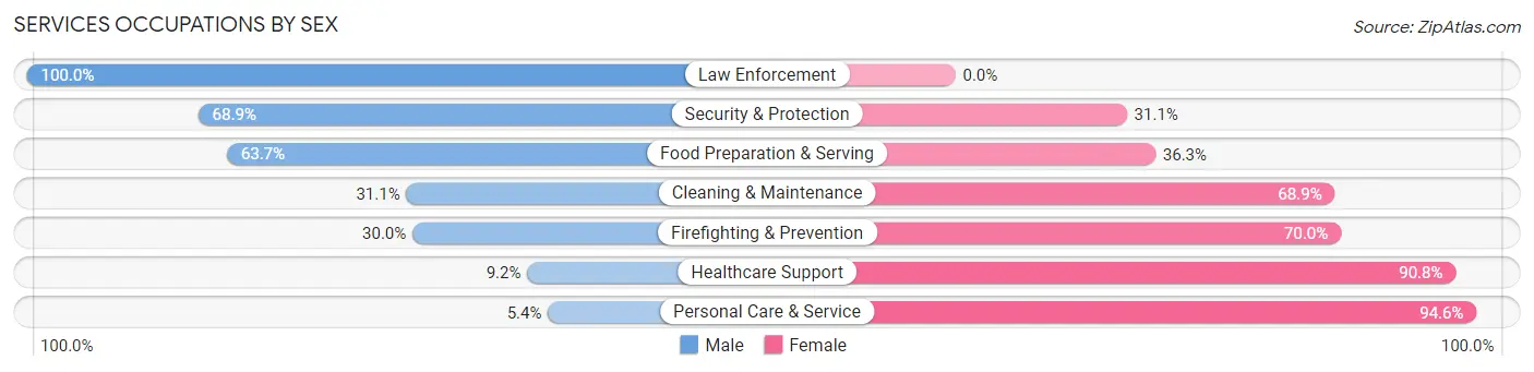 Services Occupations by Sex in Zip Code 04043
