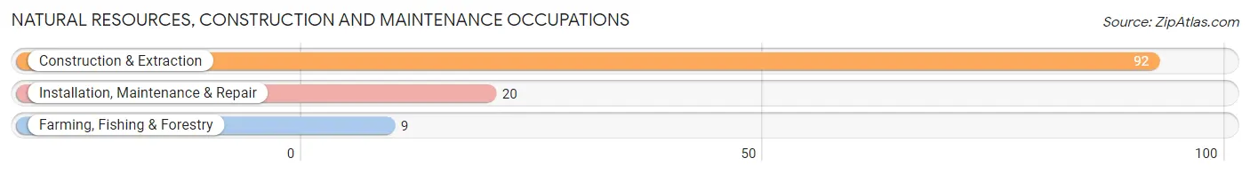Natural Resources, Construction and Maintenance Occupations in Zip Code 04047