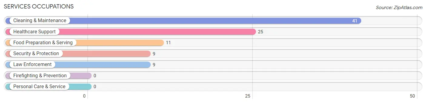 Services Occupations in Zip Code 04047
