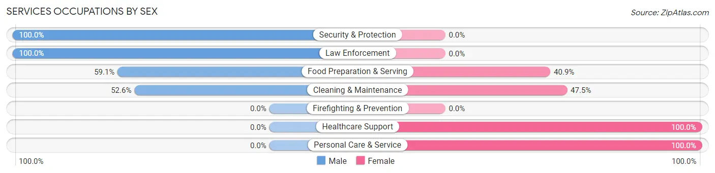 Services Occupations by Sex in Zip Code 04049
