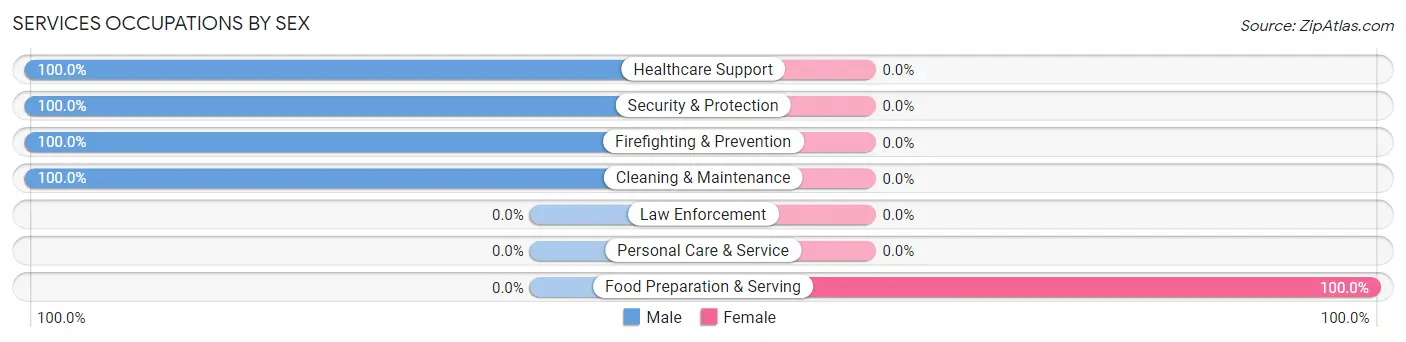 Services Occupations by Sex in Zip Code 04050
