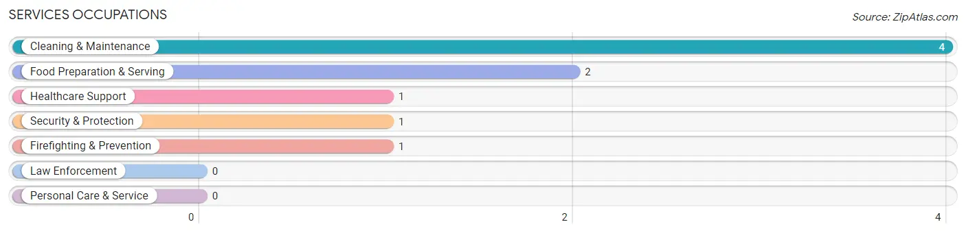 Services Occupations in Zip Code 04050