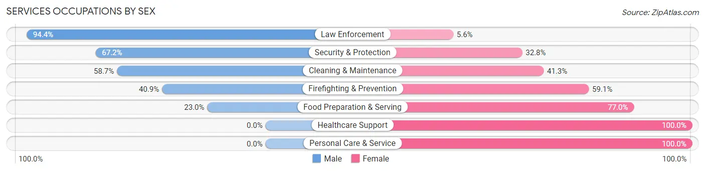 Services Occupations by Sex in Zip Code 04062