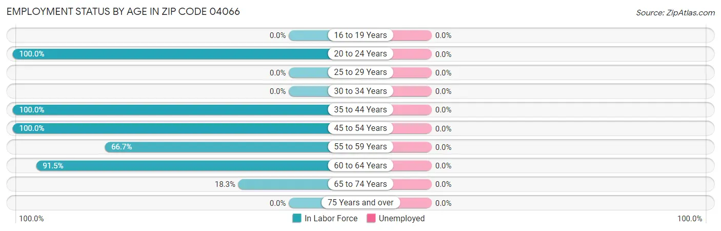 Employment Status by Age in Zip Code 04066