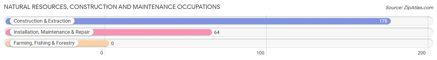 Natural Resources, Construction and Maintenance Occupations in Zip Code 04071