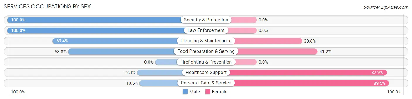 Services Occupations by Sex in Zip Code 04071