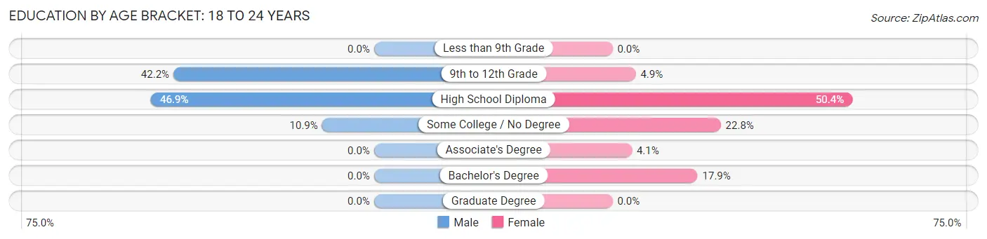 Education By Age Bracket in Zip Code 04076: 18 to 24 Years