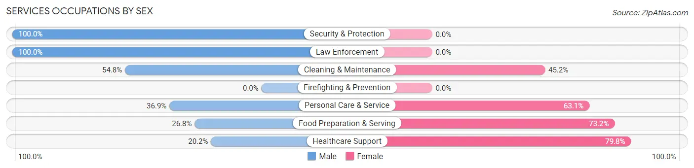 Services Occupations by Sex in Zip Code 04076