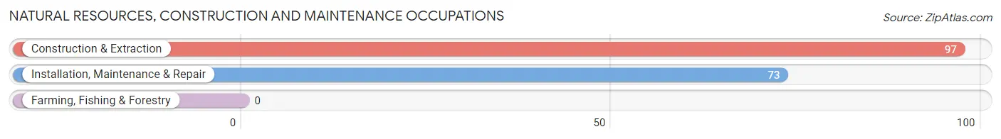 Natural Resources, Construction and Maintenance Occupations in Zip Code 04083