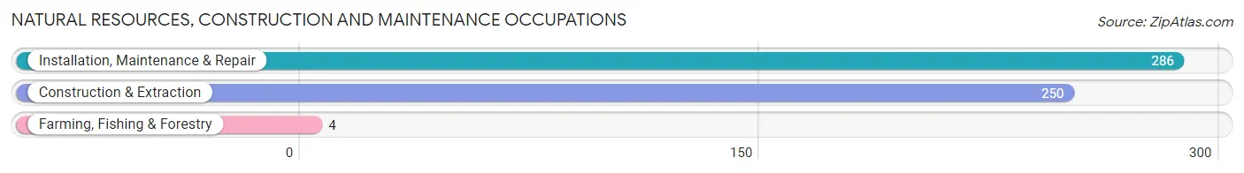 Natural Resources, Construction and Maintenance Occupations in Zip Code 04086