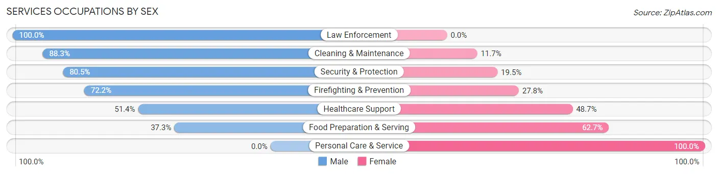 Services Occupations by Sex in Zip Code 04086
