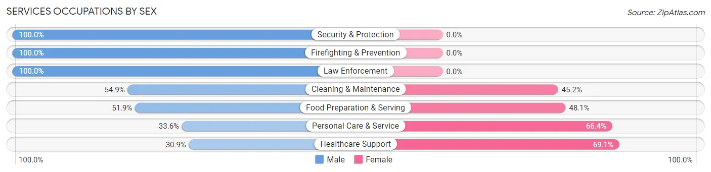 Services Occupations by Sex in Zip Code 04090