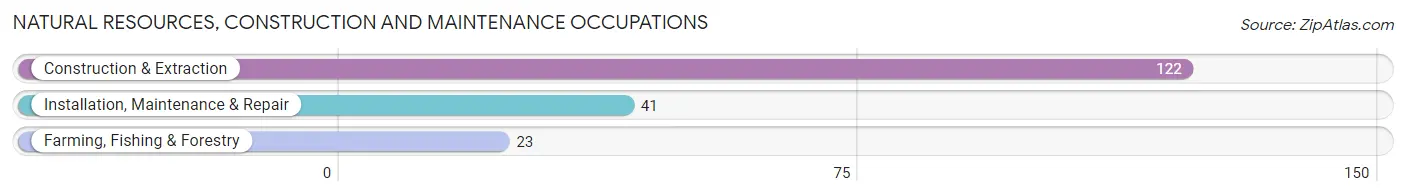Natural Resources, Construction and Maintenance Occupations in Zip Code 04096