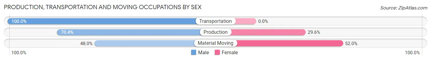 Production, Transportation and Moving Occupations by Sex in Zip Code 04096