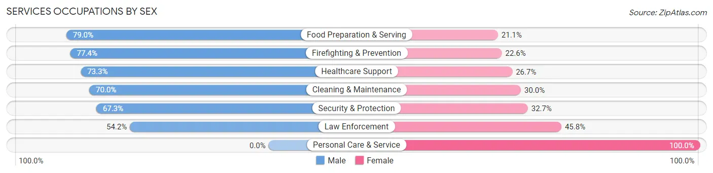 Services Occupations by Sex in Zip Code 04105
