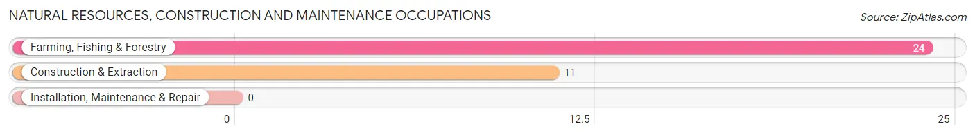 Natural Resources, Construction and Maintenance Occupations in Zip Code 04108