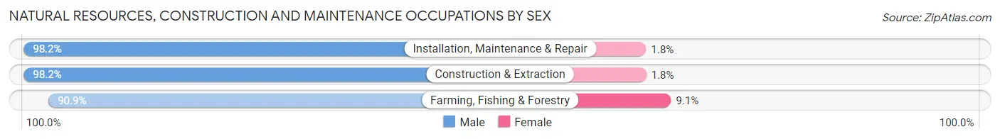 Natural Resources, Construction and Maintenance Occupations by Sex in Zip Code 04210