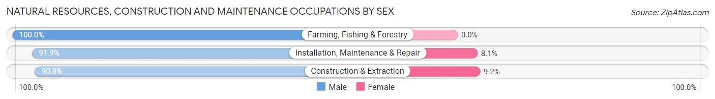 Natural Resources, Construction and Maintenance Occupations by Sex in Zip Code 04220