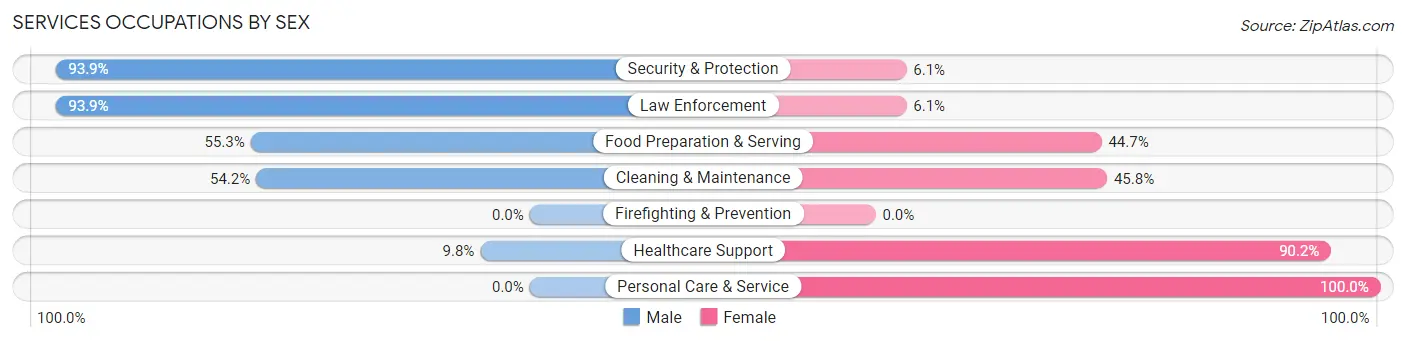 Services Occupations by Sex in Zip Code 04220