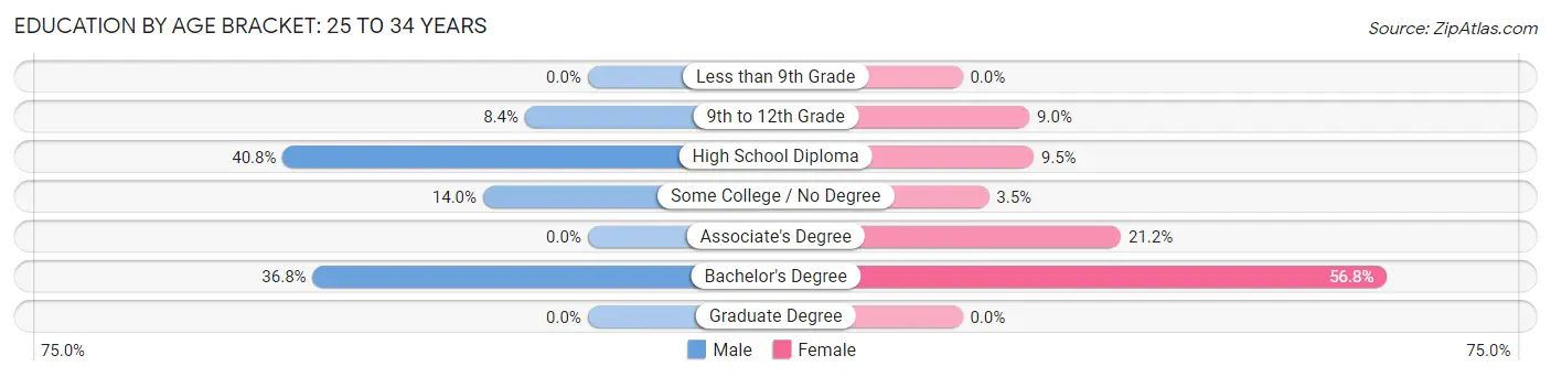 Education By Age Bracket in Zip Code 04222: 25 to 34 Years