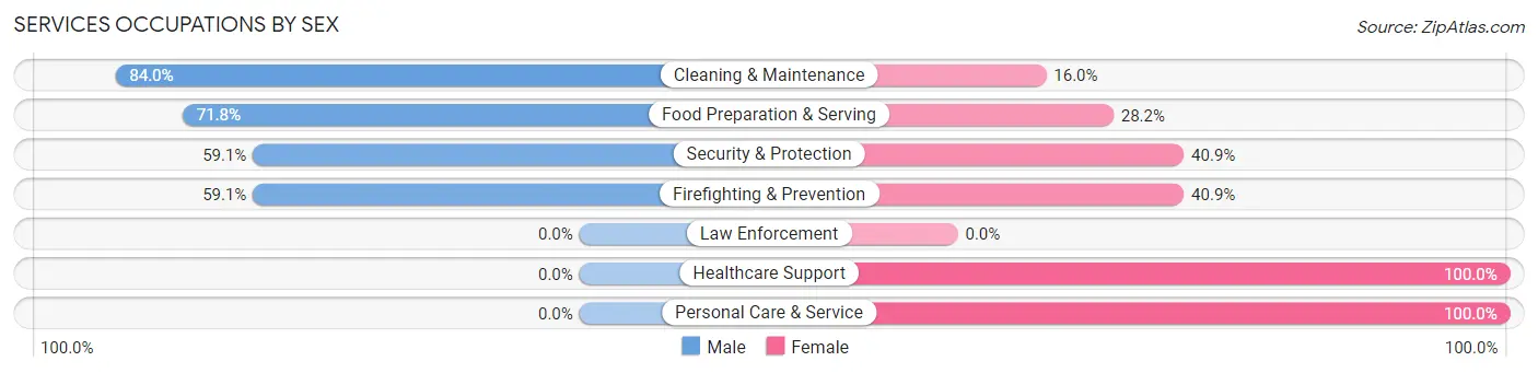 Services Occupations by Sex in Zip Code 04222