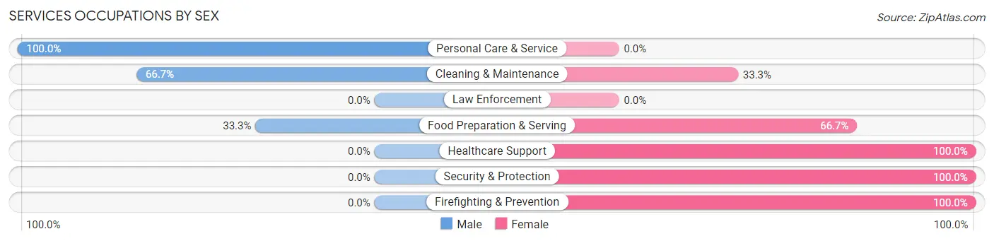 Services Occupations by Sex in Zip Code 04224
