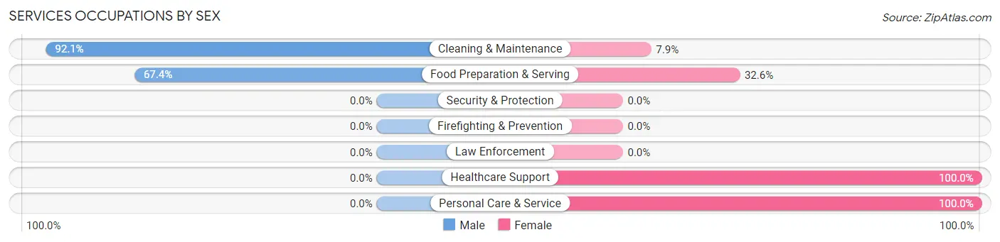 Services Occupations by Sex in Zip Code 04253