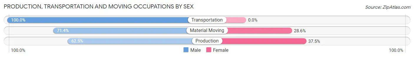 Production, Transportation and Moving Occupations by Sex in Zip Code 04255