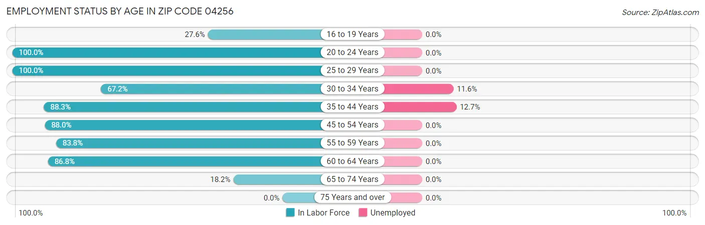 Employment Status by Age in Zip Code 04256