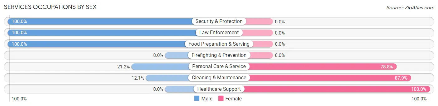 Services Occupations by Sex in Zip Code 04256