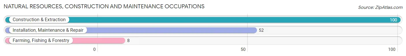 Natural Resources, Construction and Maintenance Occupations in Zip Code 04257