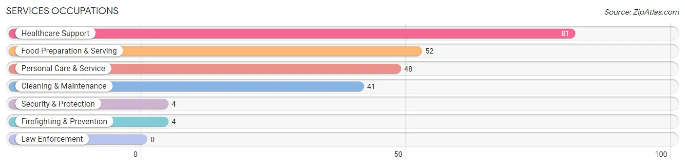 Services Occupations in Zip Code 04258