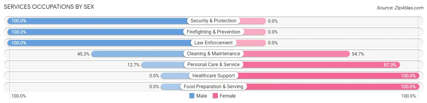 Services Occupations by Sex in Zip Code 04274