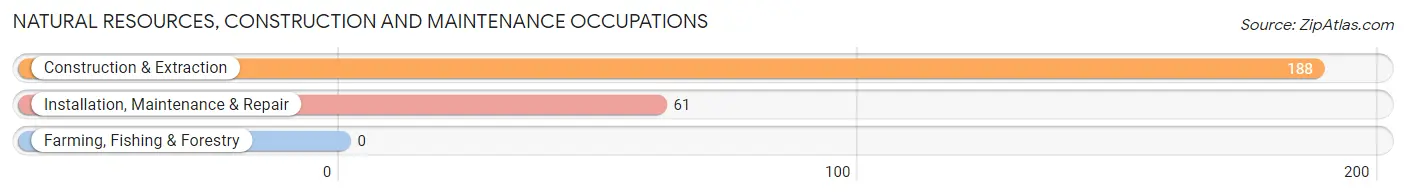 Natural Resources, Construction and Maintenance Occupations in Zip Code 04276