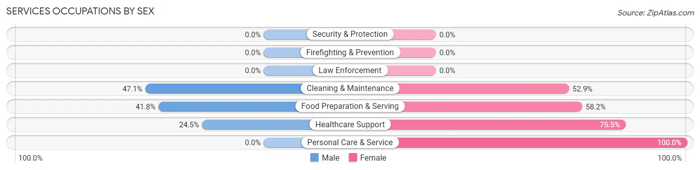 Services Occupations by Sex in Zip Code 04281