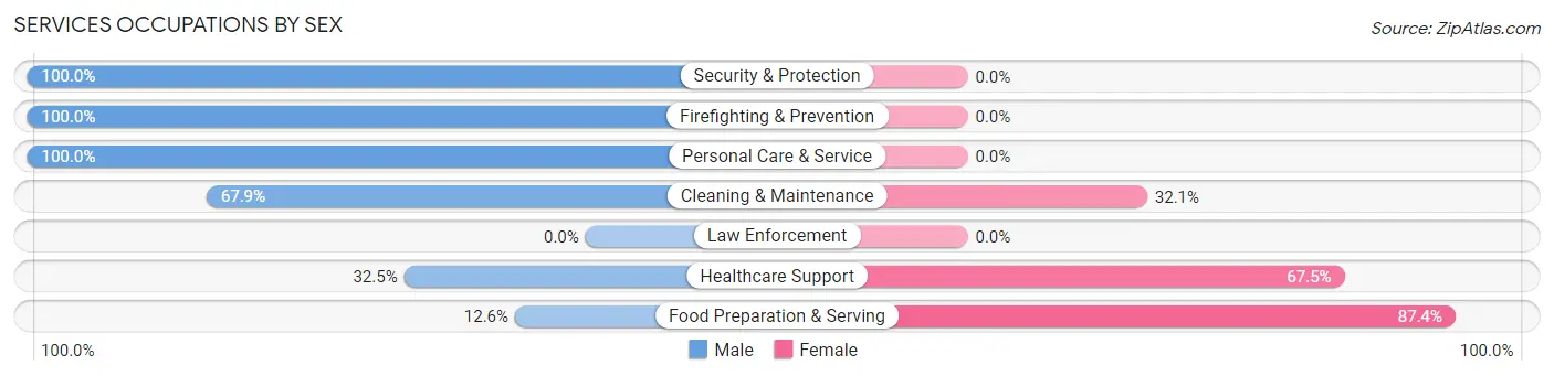 Services Occupations by Sex in Zip Code 04282