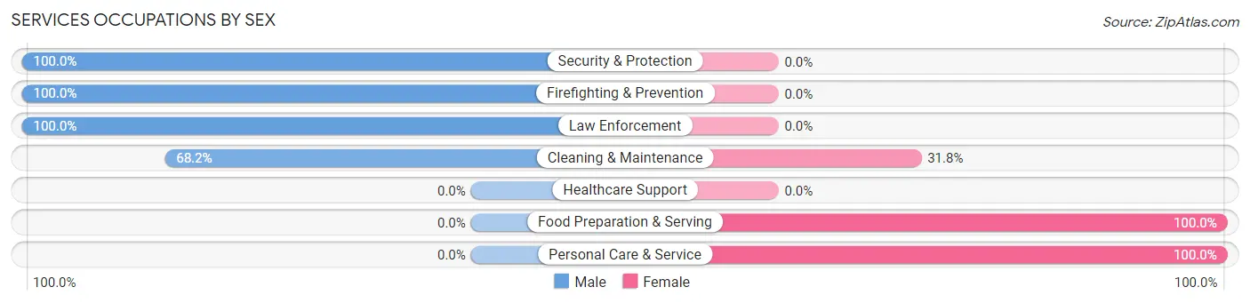 Services Occupations by Sex in Zip Code 04284