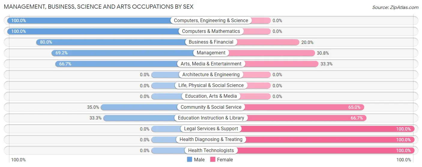 Management, Business, Science and Arts Occupations by Sex in Zip Code 04285