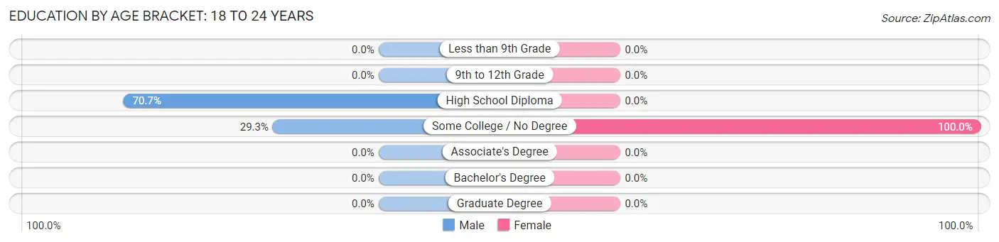 Education By Age Bracket in Zip Code 04287: 18 to 24 Years
