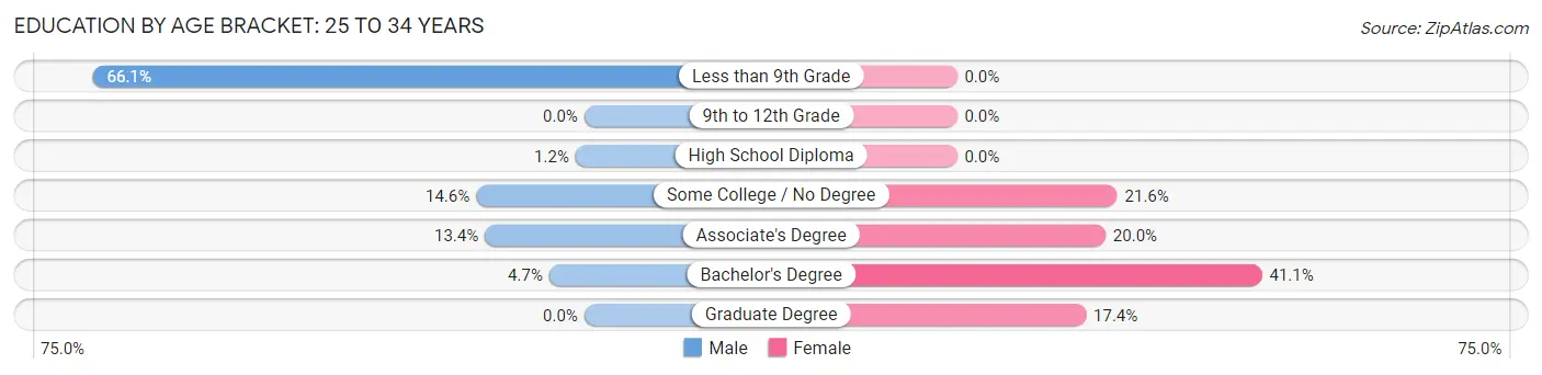 Education By Age Bracket in Zip Code 04287: 25 to 34 Years