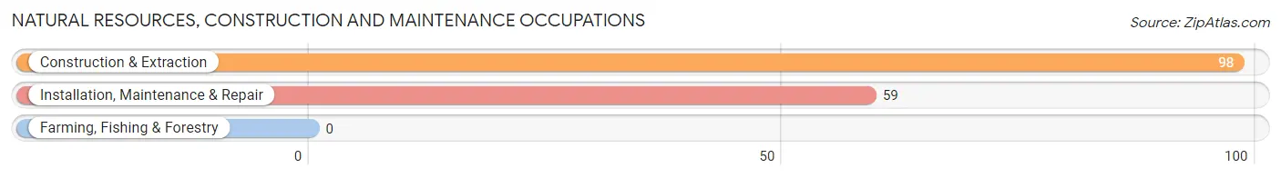Natural Resources, Construction and Maintenance Occupations in Zip Code 04287