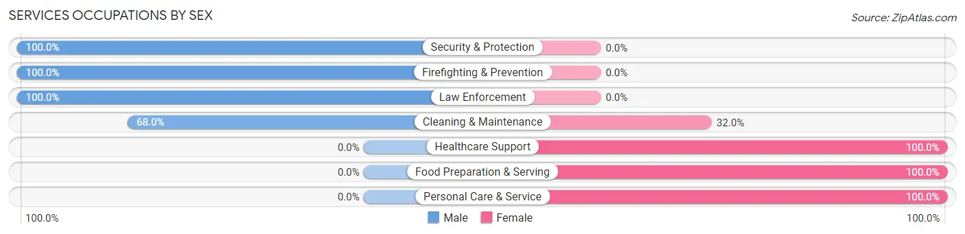 Services Occupations by Sex in Zip Code 04287