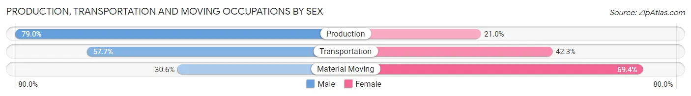 Production, Transportation and Moving Occupations by Sex in Zip Code 04294