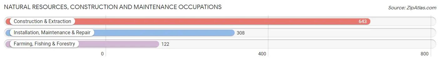 Natural Resources, Construction and Maintenance Occupations in Zip Code 04330
