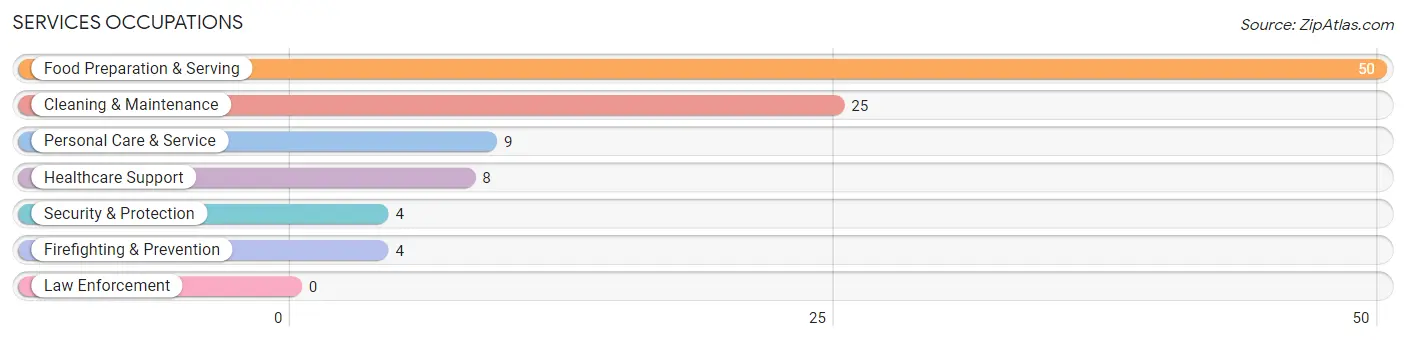 Services Occupations in Zip Code 04342