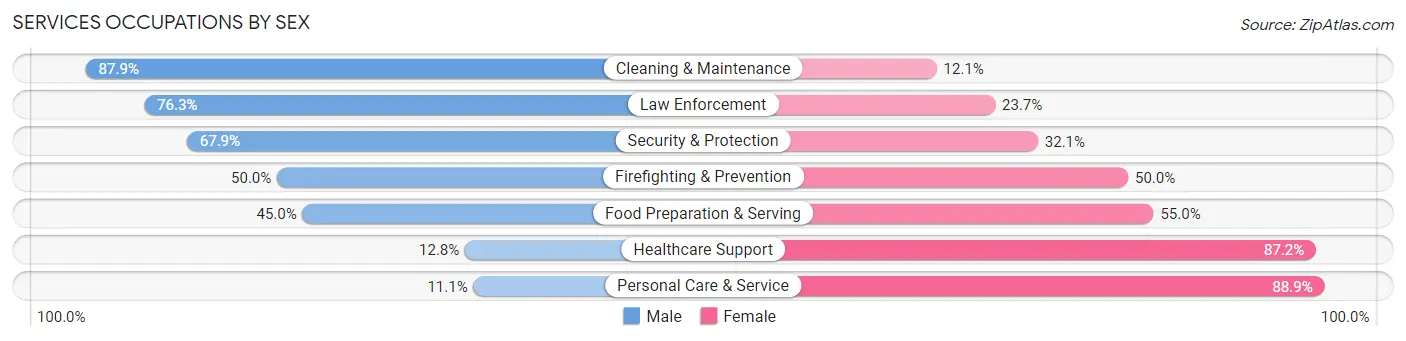 Services Occupations by Sex in Zip Code 04345