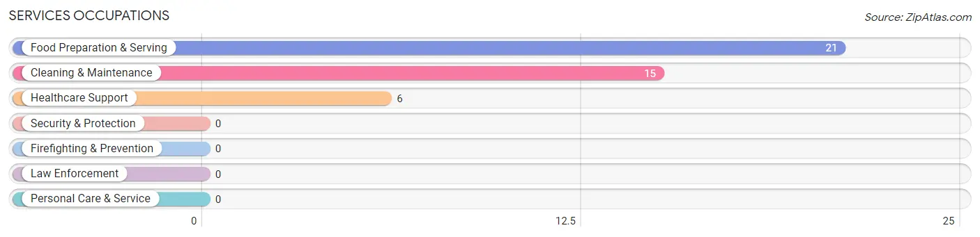 Services Occupations in Zip Code 04346