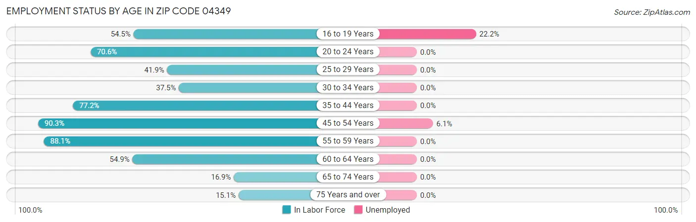 Employment Status by Age in Zip Code 04349